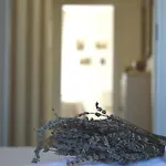 Un Sogno 4*