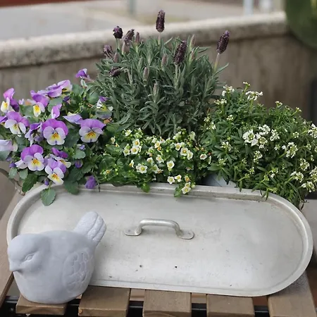 Bed and Breakfast Un Sogno